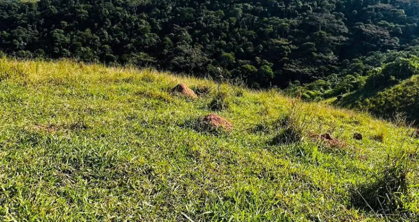 Viva cercado pelo verde – chácara dos sonhos