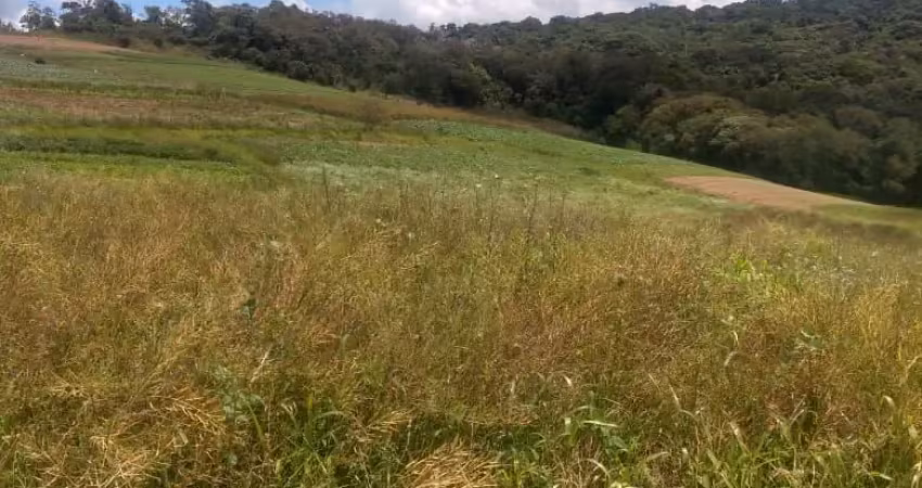 HE Mega lançamento de terrenos para chácaras!