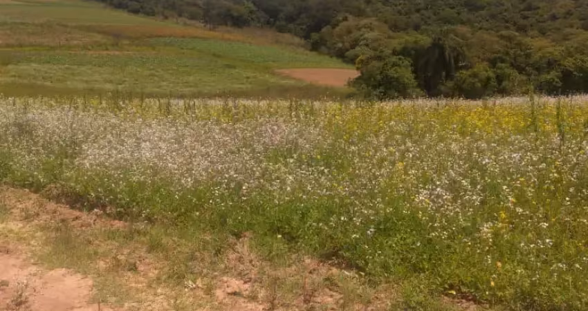 Terreno com Clima de Montanha – Uma Joia