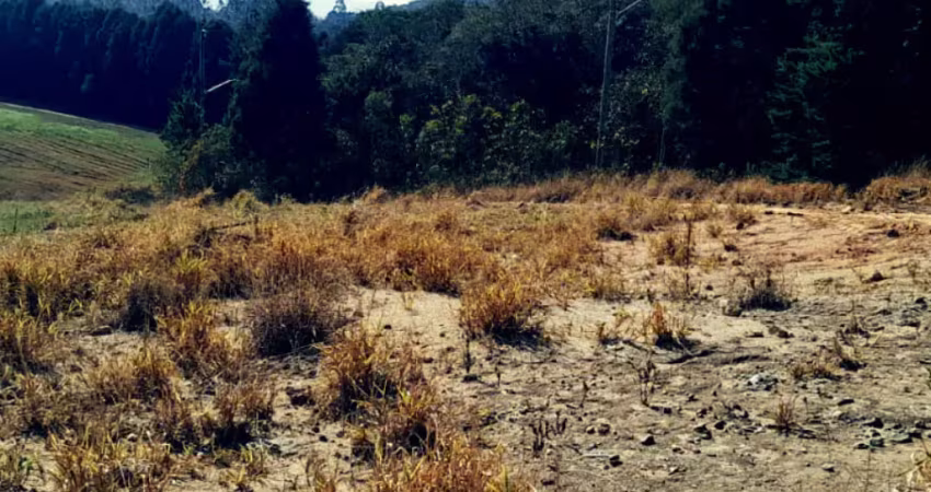 Terreno plano à venda em ótima localização – ideal para construir ou investir!