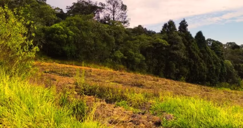 Terreno à venda na Estrada Municipal da Cachoeira, 3124, Cachoeira, Cotia