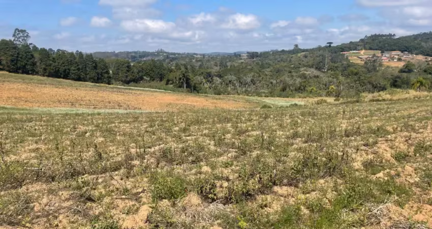 Oportunidade única: terreno com preço abaixo do mercado!