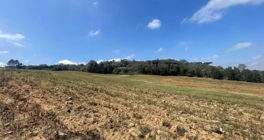 Terreno em condomínio fechado na melhor região,sua familia no campo!