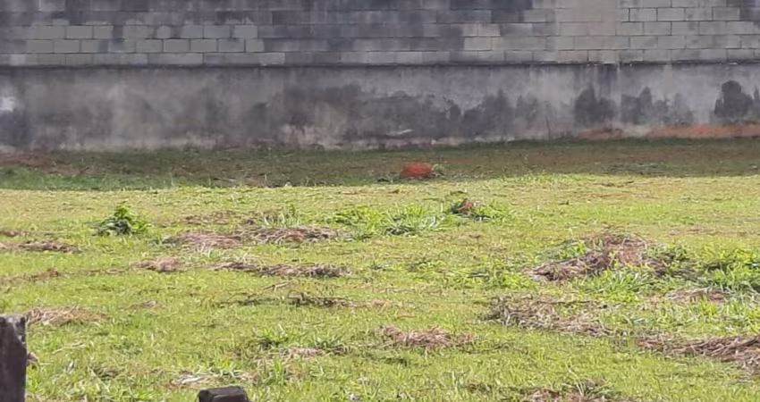 TERRENO EM ALPHAVILLE CONSTRUÇÃO PRÉDIO COMERCIAL OU GALPÕES