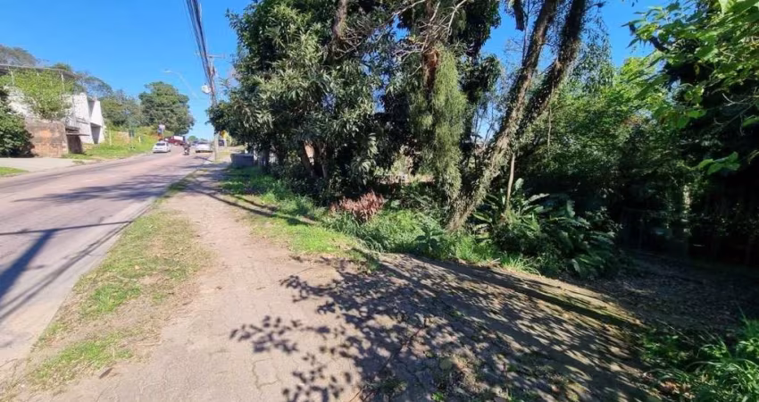 TERRENO PLANO 2.500M² VILA NOVA    &lt;BR&gt;&lt;BR&gt;Excelente Terreno muito bem localizado, em avenida de grande circulação e com plano diretor da prefeitura para duplicação. Ficará a 30m da nova r