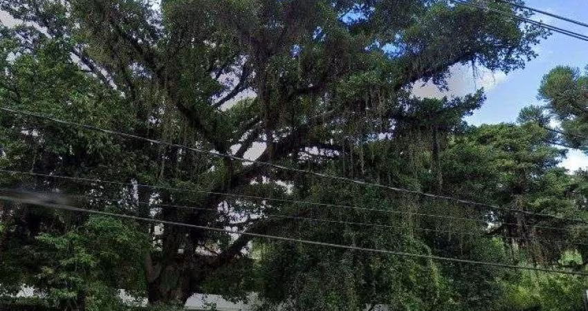 Casa em Vila Assunção