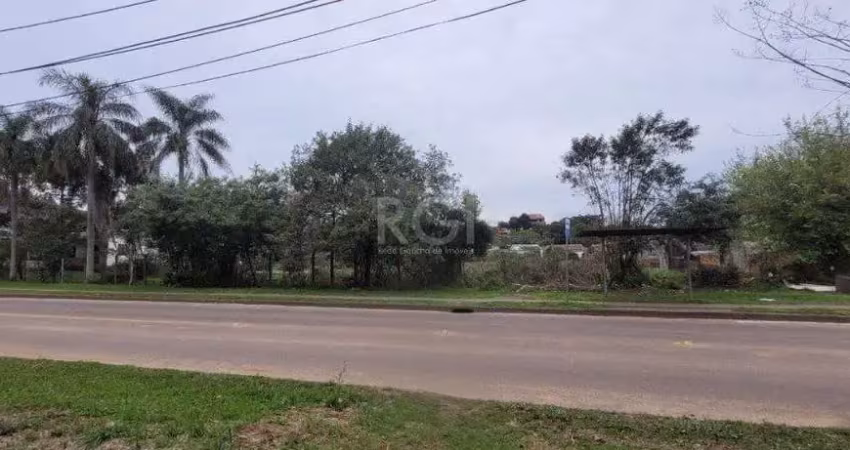 Terreno à venda na Estrada Jorge Pereira Nunes, --, Campo Novo, Porto Alegre