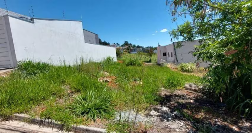 Lote Parque Real