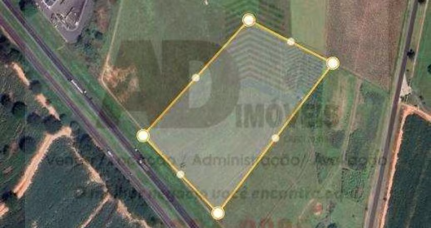 Área para Venda em Cedral, Rodovia