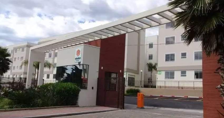 Apartamento com 2 quartos para alugar na Rua Sebastião Alzemiro dos Santos, 387, Bela Vista, Palhoça