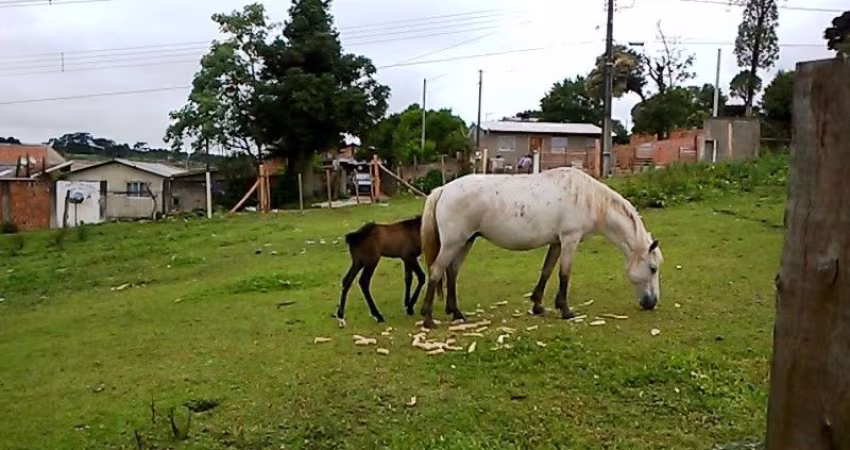 Terreno à Venda – Localização Privilegiada no Bairro Dom Rodrigo
