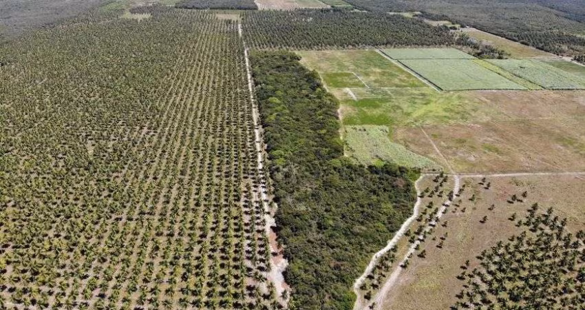 fazenda 800 hectares perfeitas para enegia solar e eóloicas.