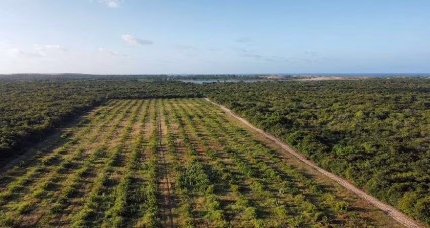 SITIO tem 17 hectares Paripueira - Beberibe - CE