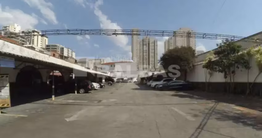 Terreno comercial para alugar na Rua Siqueira Bueno, 1380, Belenzinho, São Paulo