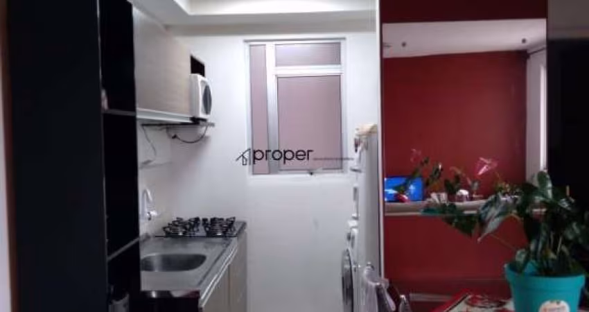Apartamento com 2 dormitórios à venda, 45 m² por R$ 135.000,00 - Areal - Pelotas