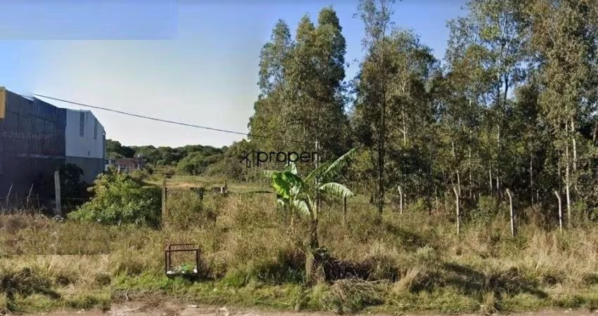 Terreno, 10000 m² - venda por R$ 3.500.000,00 ou aluguel por R$ 4.500,00/mês - F