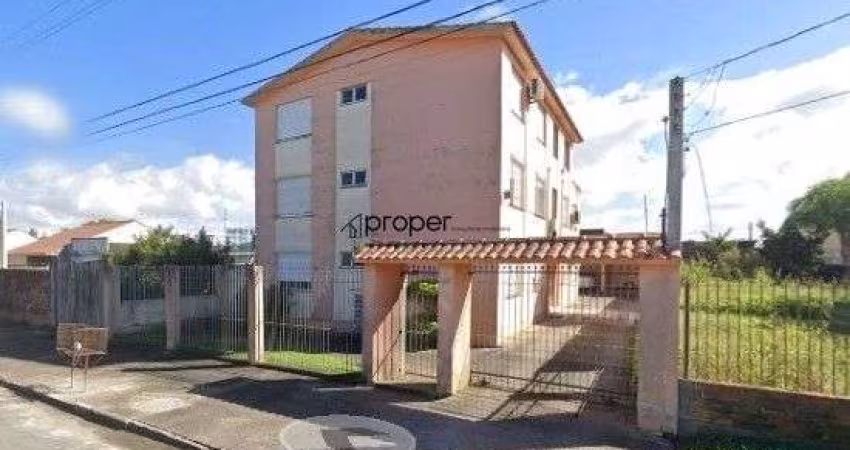 Apartamento com 2 dormitórios à venda, 102 m² por R$ 233.000,00 - Areal - Pelota