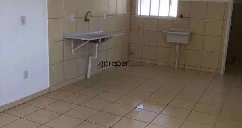 Apartamento de 57,12 m² à venda no Areal - Pelotas/RS