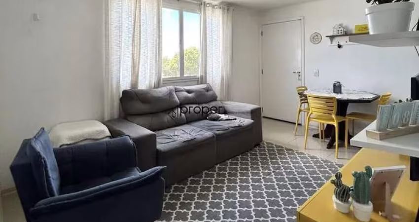 Apartamento no Maria Clara Umuharama - Areal - Pelotas / RS