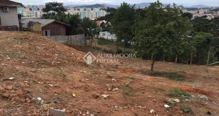 Terreno à venda na Airton da Silva, 100, Bela Vista, Palhoça