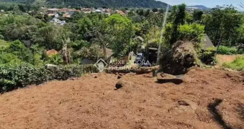 Terreno à venda na Servidão João Sinfronio Pereira, 600, Rio Tavares, Florianópolis