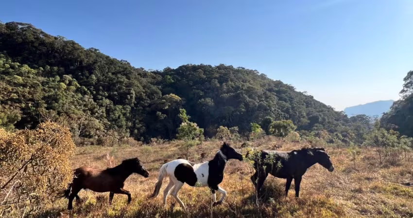 Terreno à venda - 67.000m2 - Luminosa