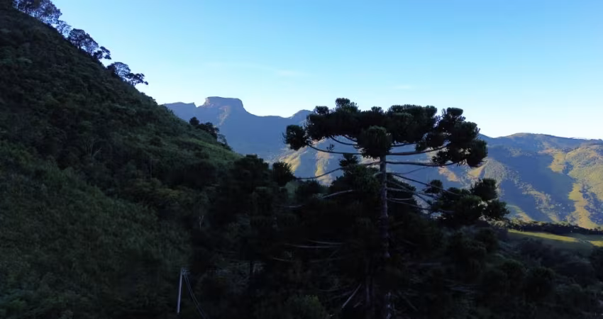 Terreno à venda - Visual Deslumbrante