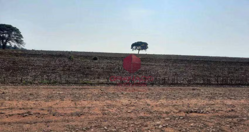Terreno à venda, 20000 m² por r$ 900.000,00 - distrito de iguatemi (iguatemi) - maringá/pr