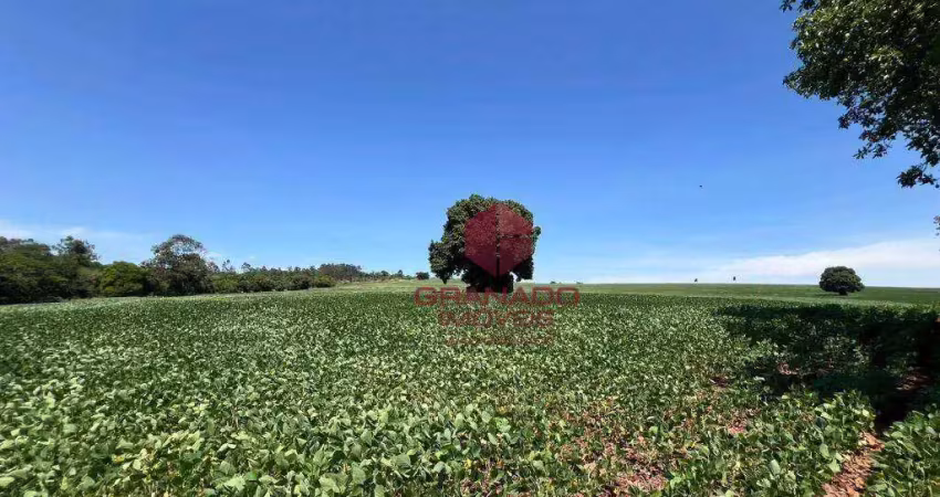 Sítio à venda, 40333 m² por r$ 995.000,00 - estrada ipiranga - maringá/pr