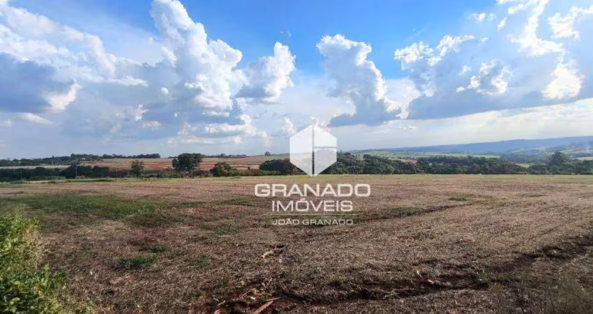 Investimento, terreno à venda, com 4 alqueires paulista. ótima oportunidade!- mandaguari/pr
