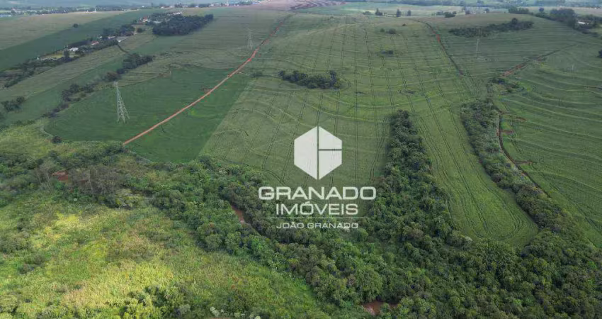 Área à venda, 193600 m² por r$ 9.180.000,00 - ribeirão morangueiro - maringá/pr