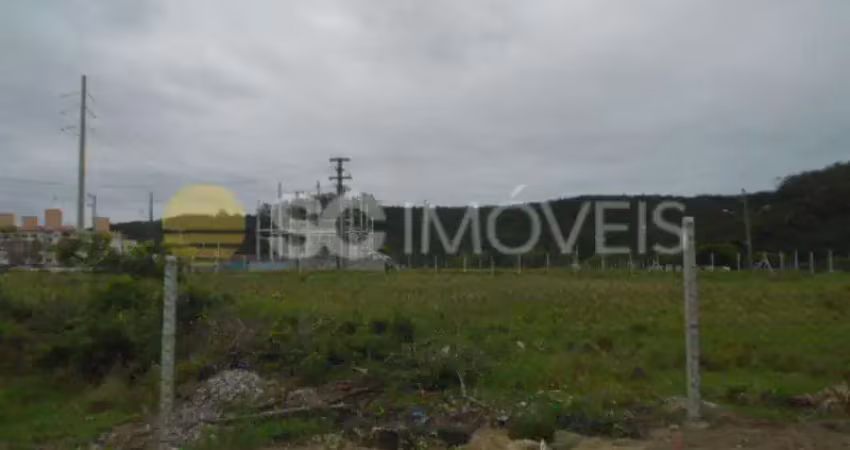 Terreno à venda no Ingleses, Florianópolis 