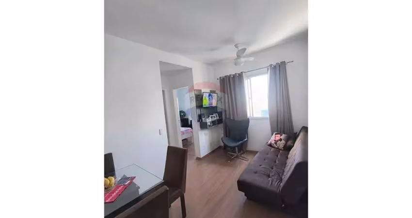 Apartamento Parque Campolim Sorocaba de Dois Quartos Próximo ao Shopping Iguatemi com Ótimo Preço