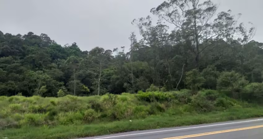 Terreno de 9.146m² localizado na rodovia índio tibiriçá no km 50 na cidade de ribeirão pires. aceita permuta!