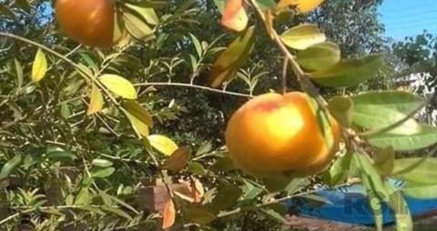 Casa em Condomínio 2 dormitórios à venda Águas Claras Viamão/RS