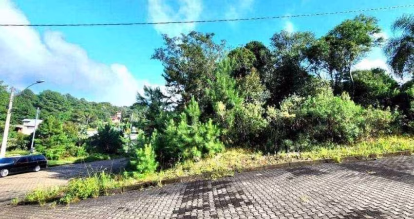 Terreno em Nova Petrópolis