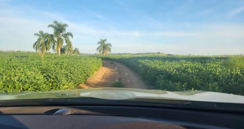 Fazenda apenas 50 quilômetros de PORTO ALEGRE