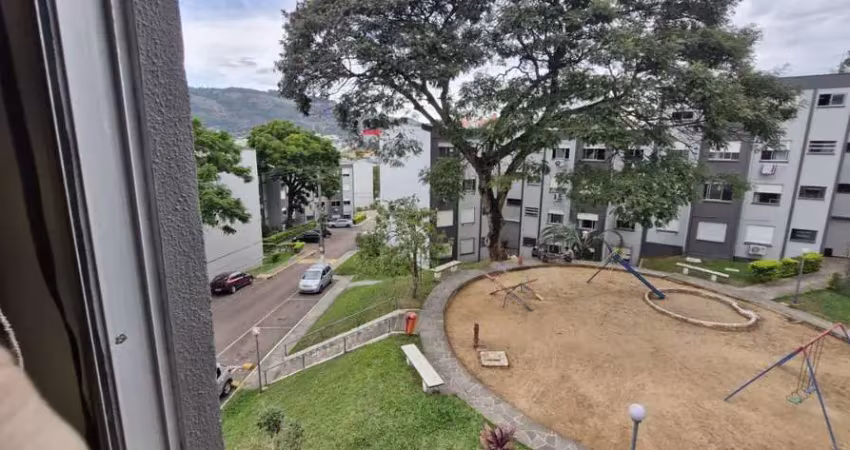 Lindo apartamento 1dormitório na ary tarrago proximo a protasio alves