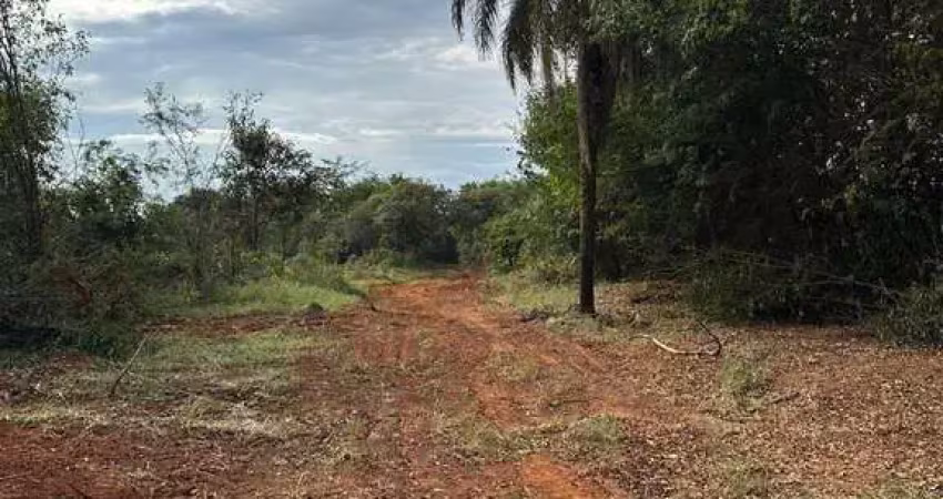 Fazenda à venda na Rua Tereza Rosa Leite, Panorama Industrial, Igarapé