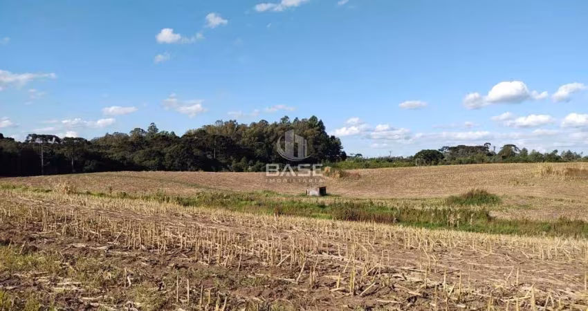 Terreno à venda no Industrial, Farroupilha 