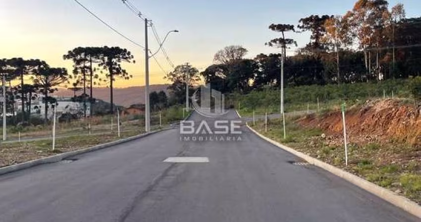 Terreno à venda na Nossa Senhora da Saúde, Caxias do Sul 