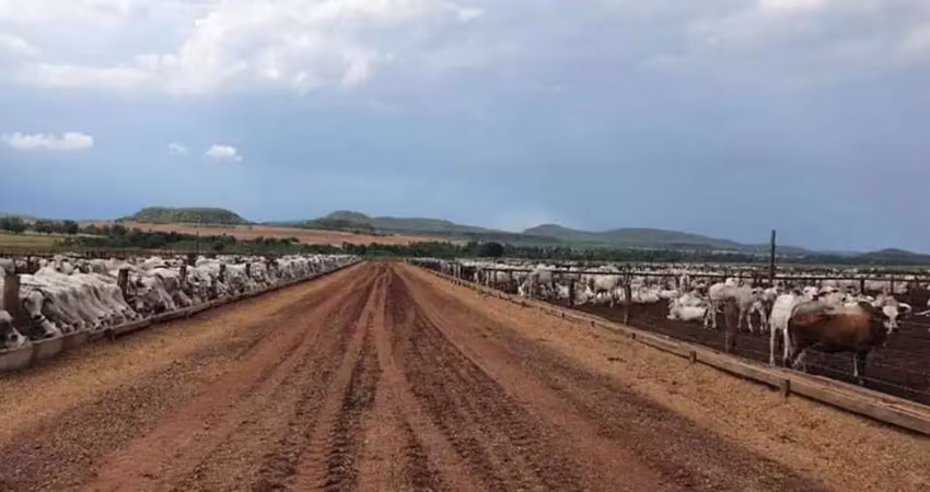 Fazenda para Venda em Ponte Alta do Tocantins, Zona Rural