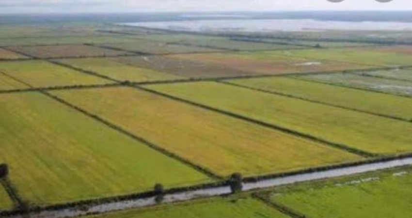 Fazenda para Venda em Formoso do Araguaia, Centro