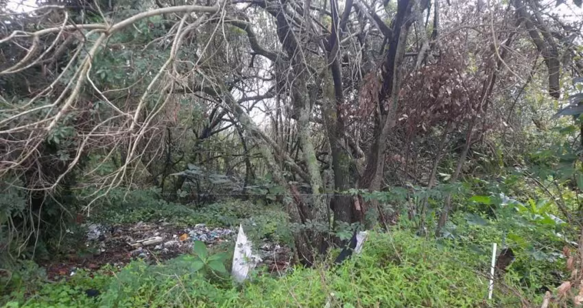 Excelente terreno com 2650 de área própria para construção de pequeno condomínio