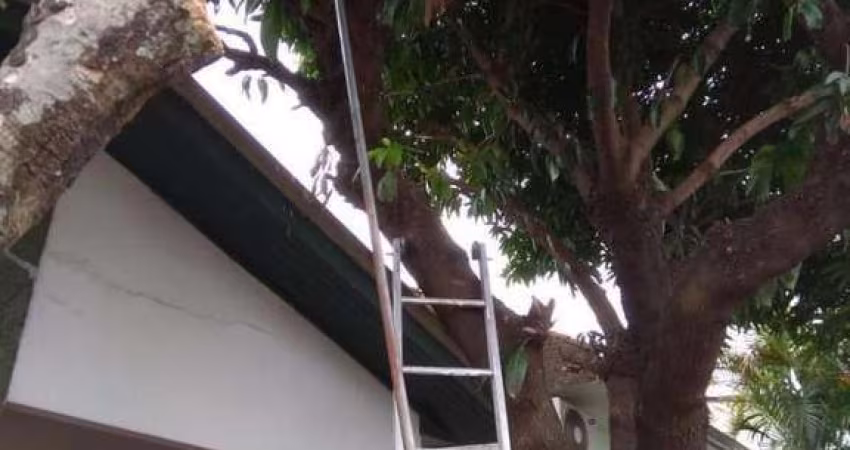 Casa em ótio bairro de São Leopolo