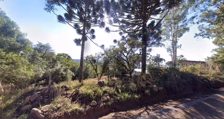 Terreno para venda em são francisco de paula, barragem do salto