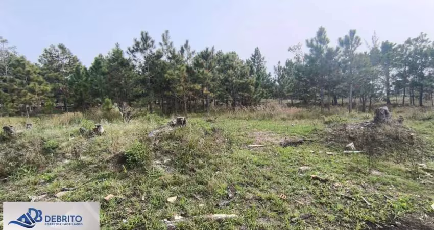 Terreno à venda no Nova Tramandaí, Tramandaí 
