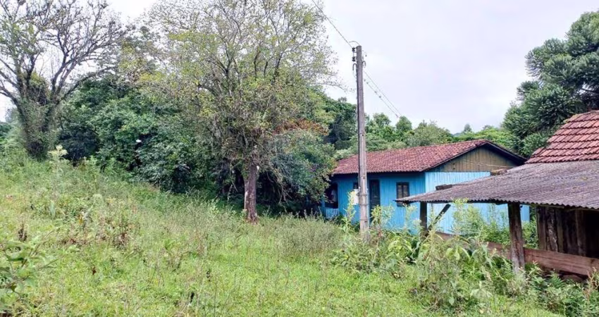 Terreno - Venda - Riozinho, Rio Grande do Sul
