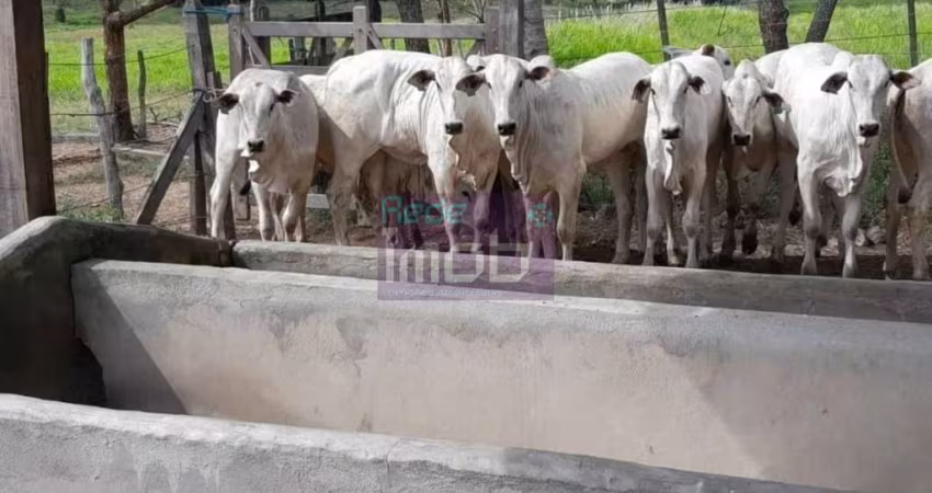 Fazenda Porteira Fechada em Salgado-SE