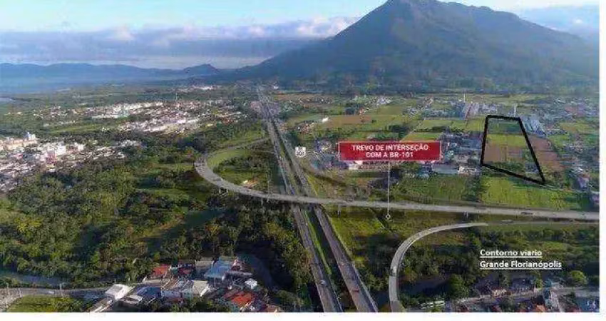 Terreno à venda, 55000 m² por r$ 14.500.000,00 - guarda do cubatão - palhoça/sc